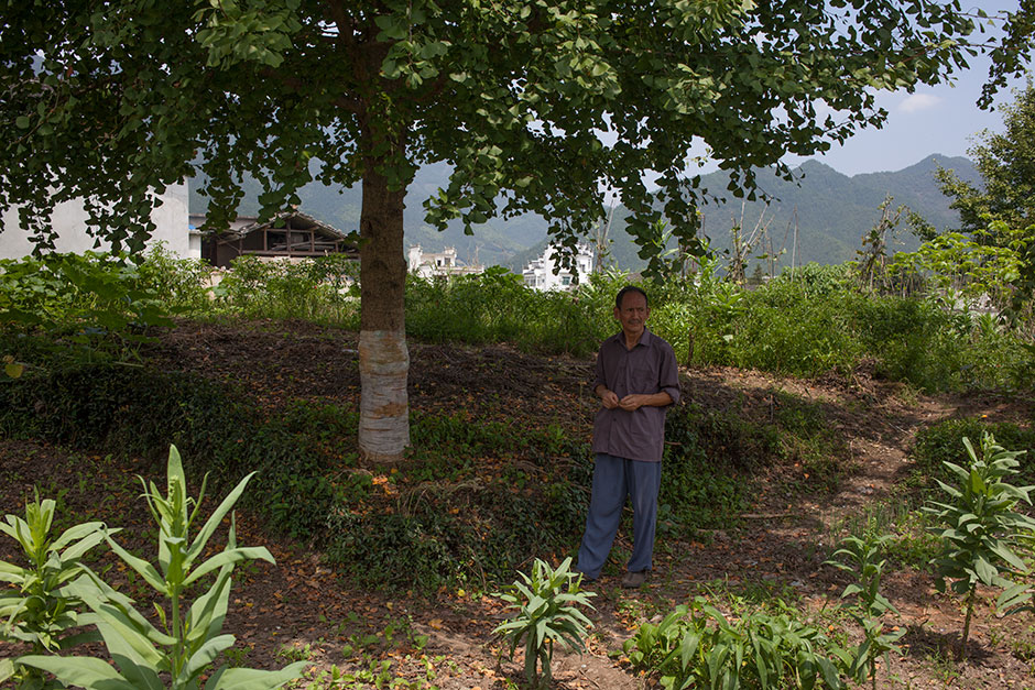 Wang Shouchang stands in the shade of a tree on the outskirts of Bishan. Below this patch of raised earth lie the unattended tombs of the Wang family. The family originated from the Lu state (today’s Shandong province) more than 2,600 years ago during the Spring and Autumn Period and first settled in Bishan during the Northern Song Dynasty (960–1127). According to Wang, “These tombs likely belong to the seventieth generation, but nobody knows for sure.” 