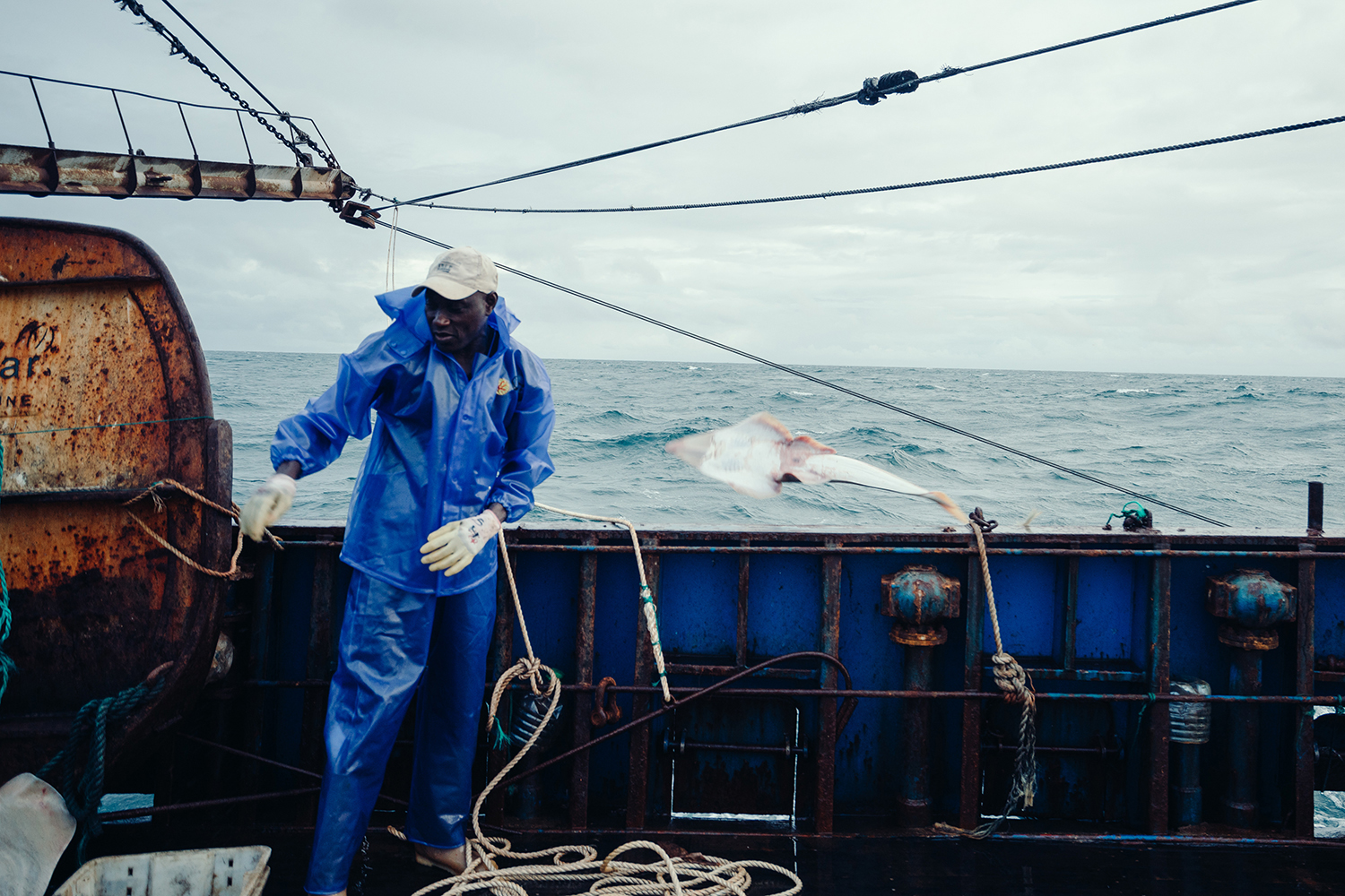 A crewmember throws a guitarfish back into the water to die after cutting its fins, July 22, 2016. The guitarfish is part of the by-catch caught in the trawl net. Its flesh is not considered palatable, but there is demand for its fins in Chinese markets. 