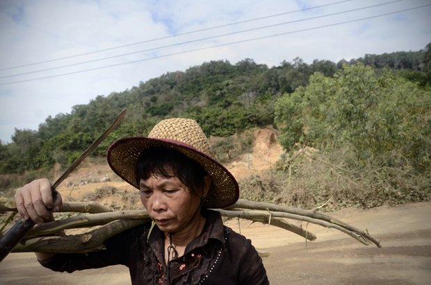 Here's How This Giant Chinese Forest Disappeared - Vimarsana News