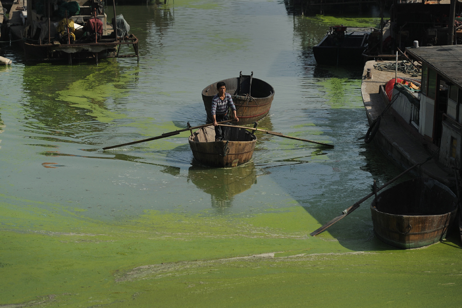 Sip of Death Plagues River Villages - Vimarsana News