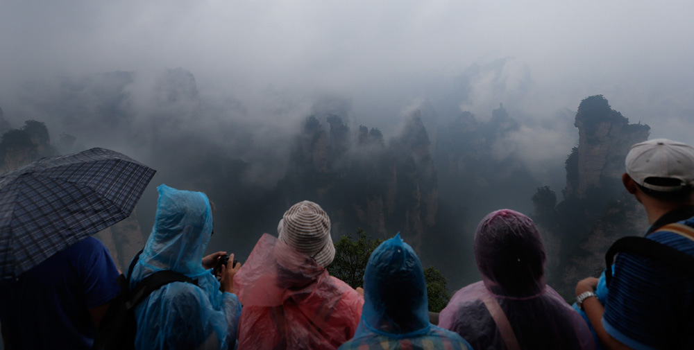 China Reforms National Parks to Improve Environmental Protection - Vimarsana News