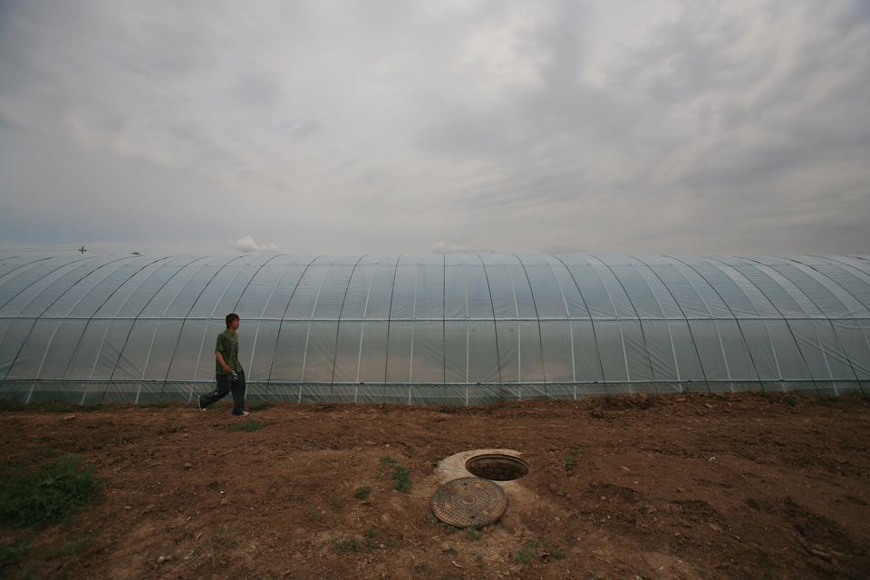 We're All Farmers Now | ChinaFile - Vimarsana News