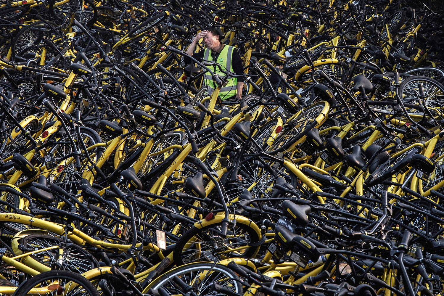 Bike-Sharing Schemes: Flourishing or Running Riot? - Vimarsana News