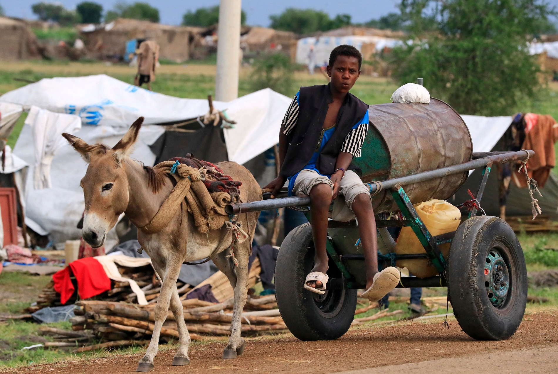 magpie 61/ the wrath of goodreads