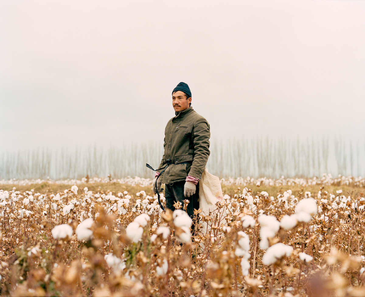 A Uyghur seasonal worker stands in a cotton field in the last days of the harvest, in Luntai county, Bayingolin Mongol Autonomous Prefecture, between Korla and Kuqa, north of the Taklamakan desert, November 2016. Cotton is one of the largest agricultural industries in the province.