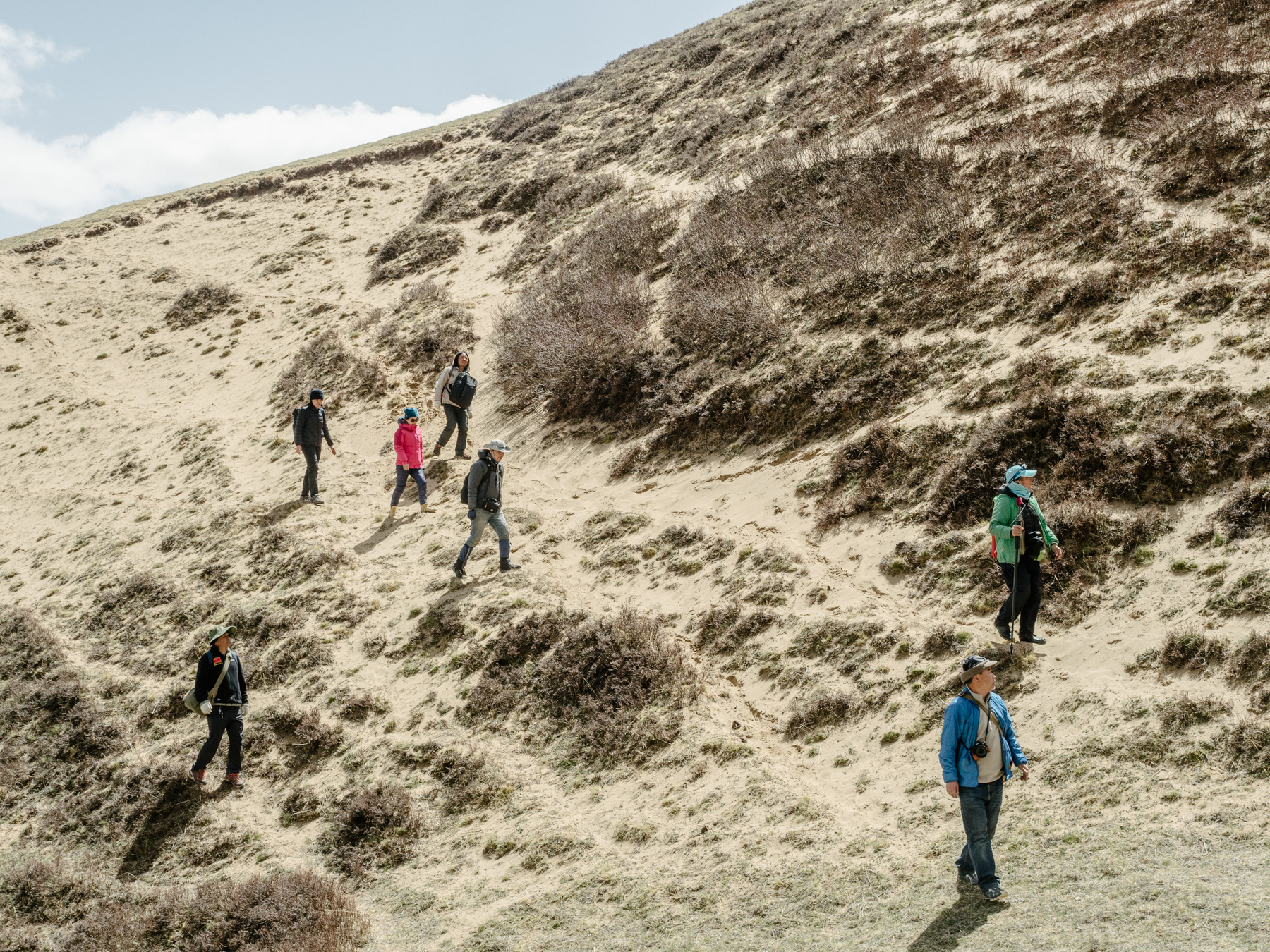 Yang leads his team along the edges of a desert in Madoi county. 